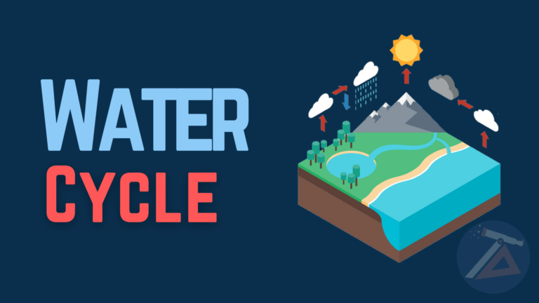 What is the water cycle?