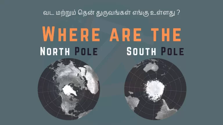 Where are the North Pole and the South Pole?