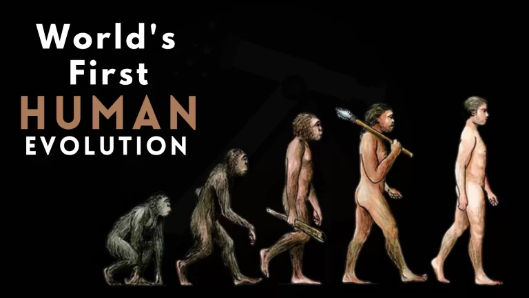 The World’s First Human Evolution in Tamil