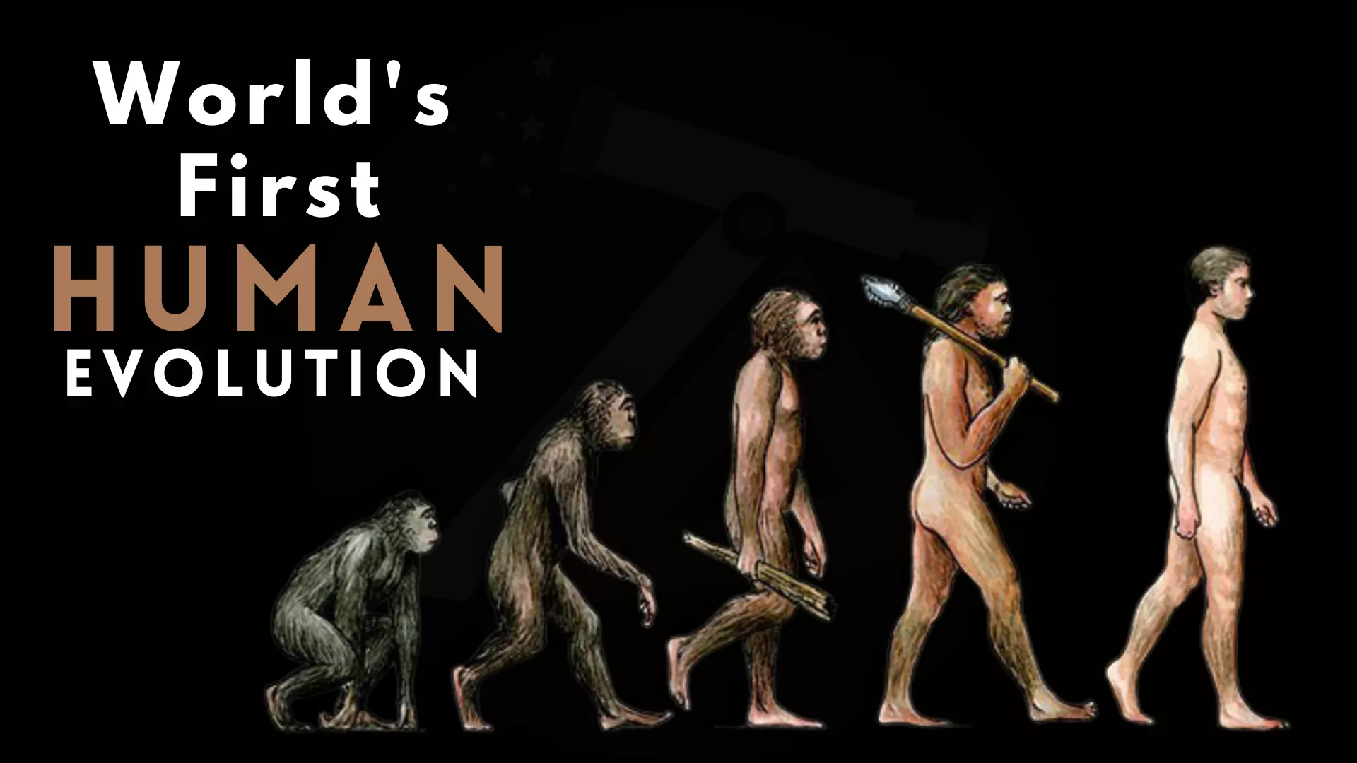 The World's First Human Evolution