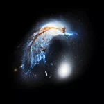 The Porpoise Galaxy